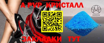 бошки Дубна