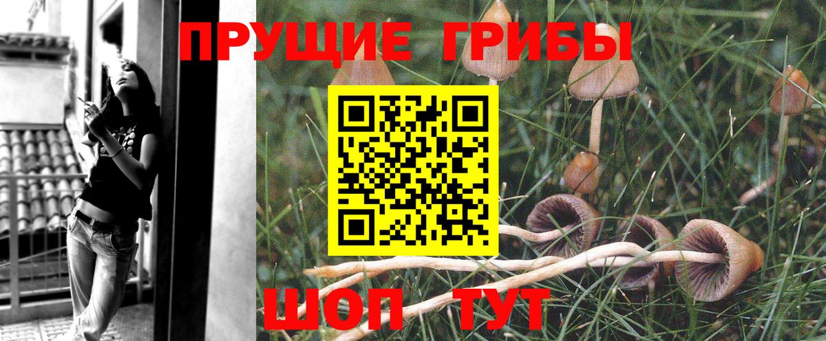 Галлюциногенные грибы прущие грибы Михайловка