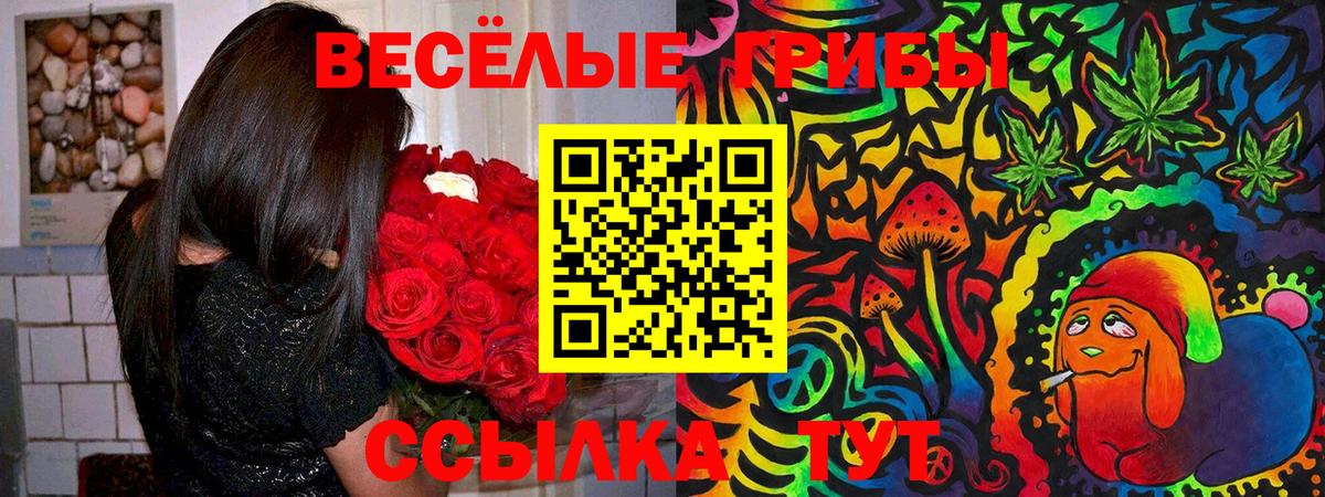 МЕТАМФЕТАМИН Михайловка