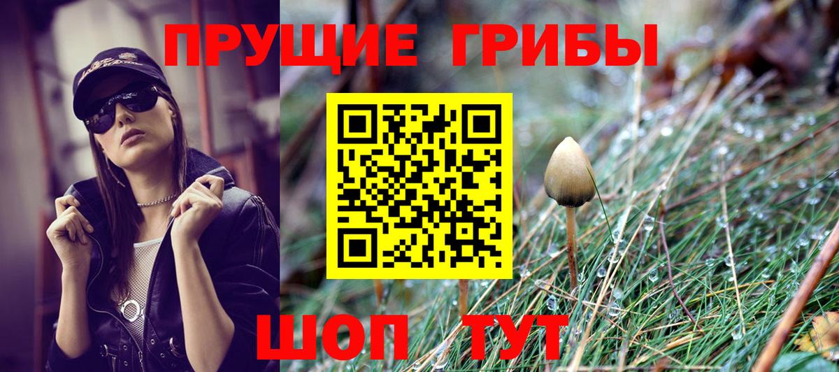 Михайловка  наркошоп  Галлюциногенные грибы Psilocybe  Вход с VPN  Галлюциногенные грибы Magic Shrooms 